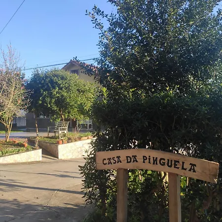 Casa Da Pinguela Camino Ingles Holiday home
