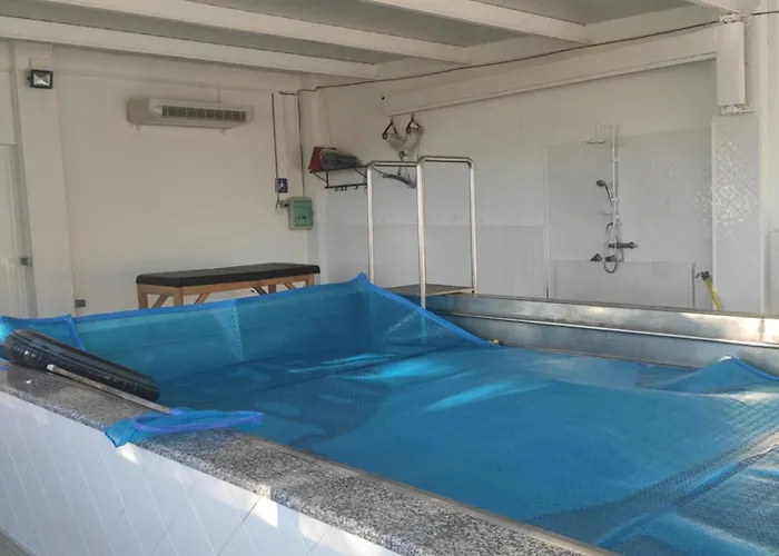 Casa Da Pinguela Camino Ingles